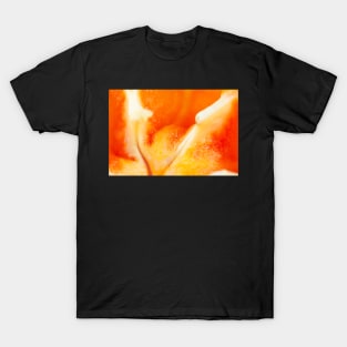 Orange Bell Pepper Macro T-Shirt